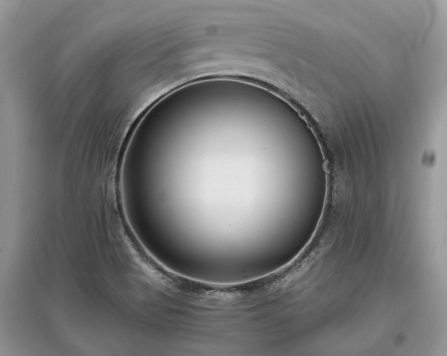 X0000097641513200803071541