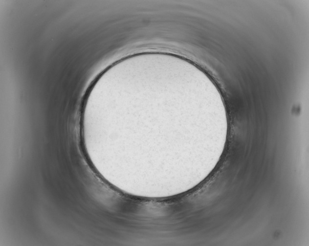 X0000097641514200803071541