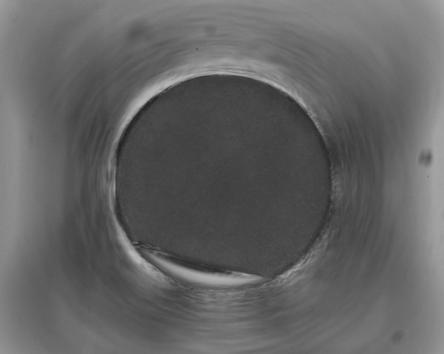 X0000097641515200803071541