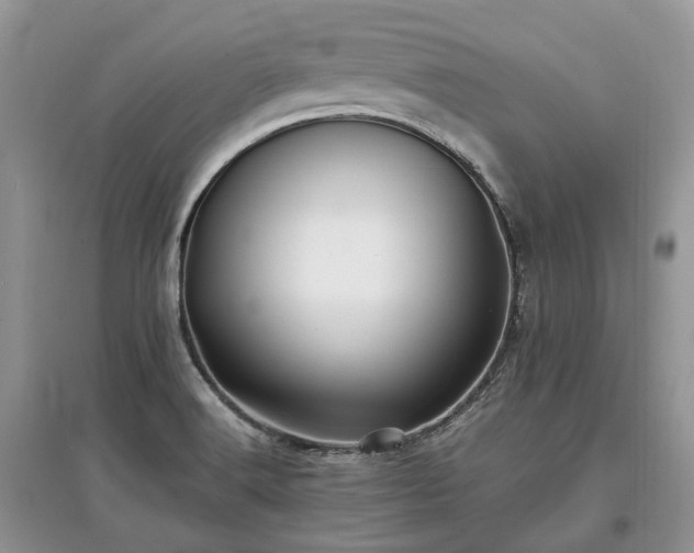 X0000097641516200803071541