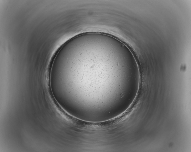 X0000097641517200803071541