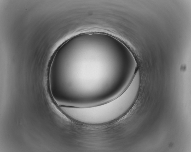 X0000097641518200803071541