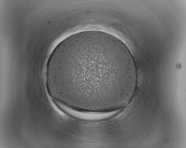 X0000097641519200803071541