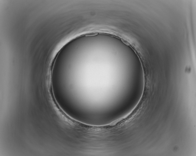 X0000097641520200803071541