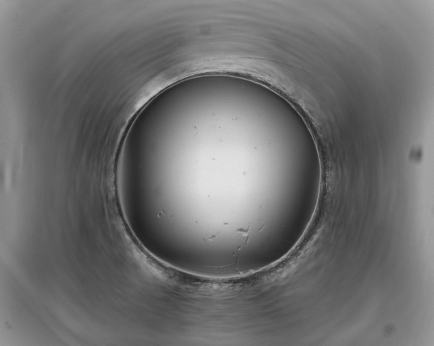 X0000097641521200803071541