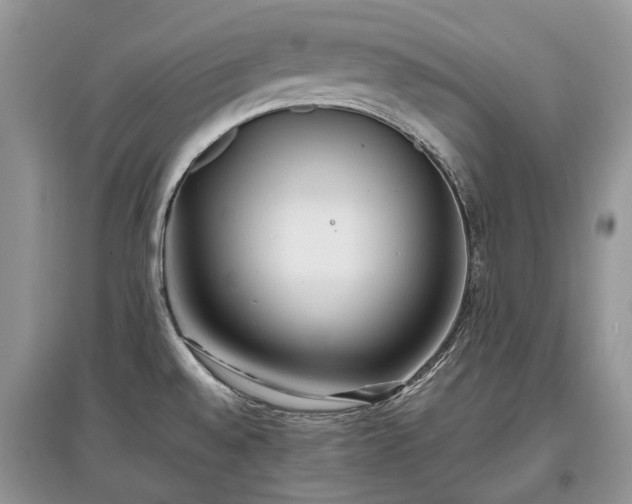 X0000097641528200803071542