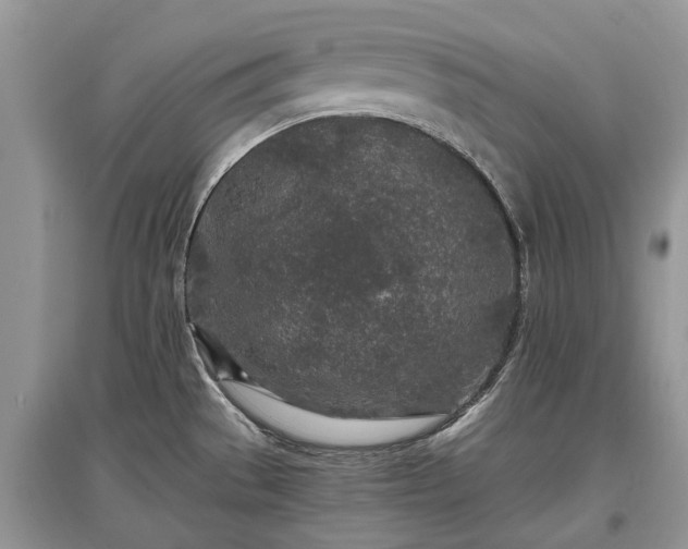 X0000097641529200803071542