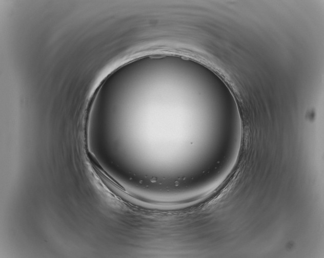 X0000097641530200803071542