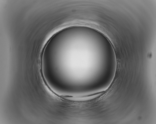 X0000097641531200803071542