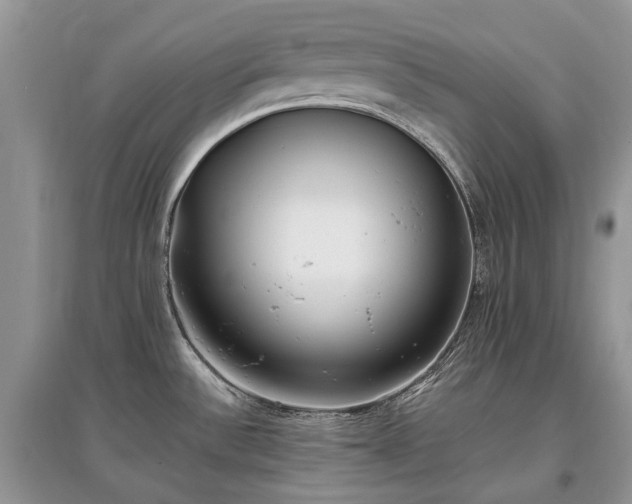 X0000097641532200803071542