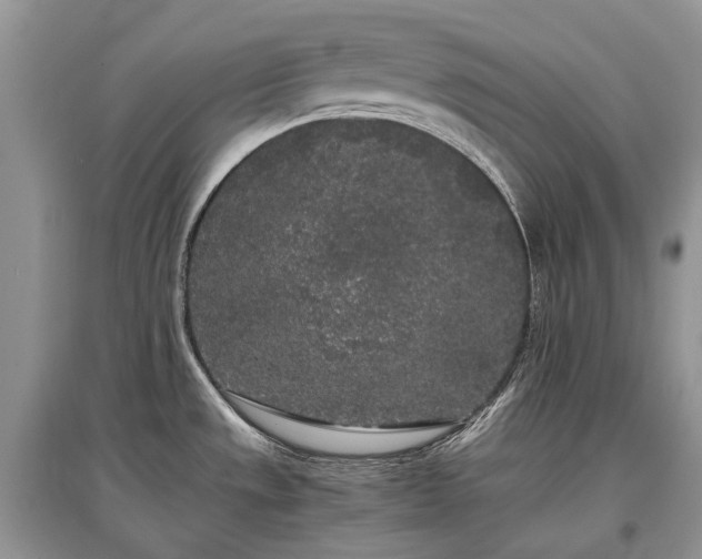 X0000097641533200803071542