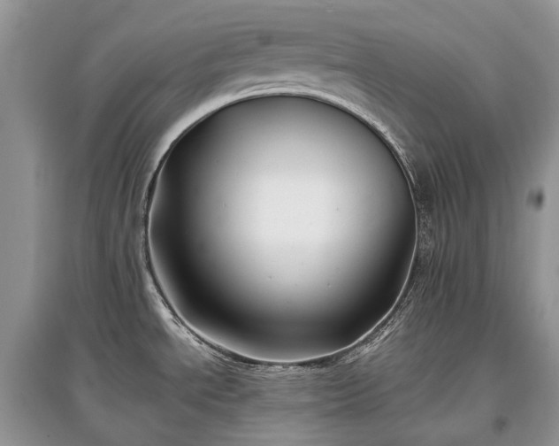 X0000097641534200803071542