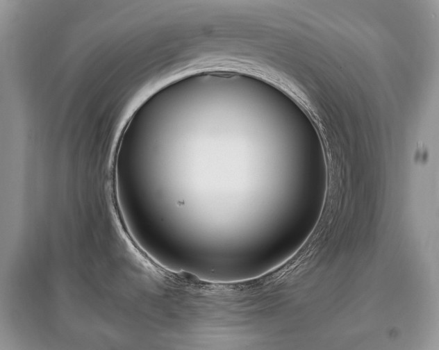 X0000097641536200803071542