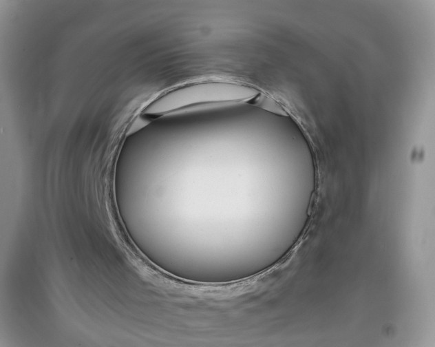 X0000097640001200803142057