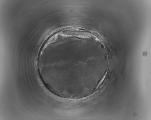 X0000097640002200803142057