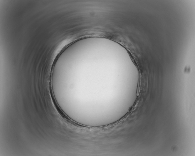 X0000097640003200803142057