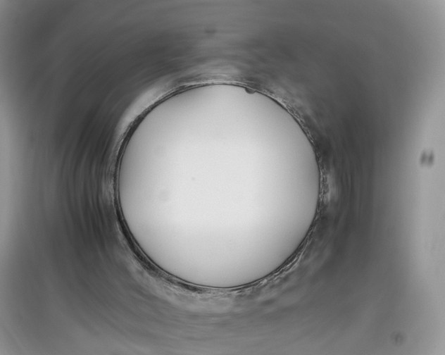 X0000097640004200803142057