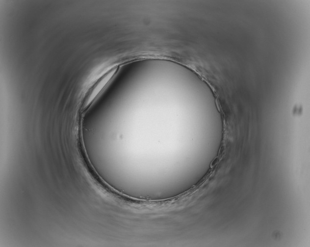 X0000097640005200803142057