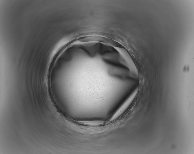 X0000097640006200803142057