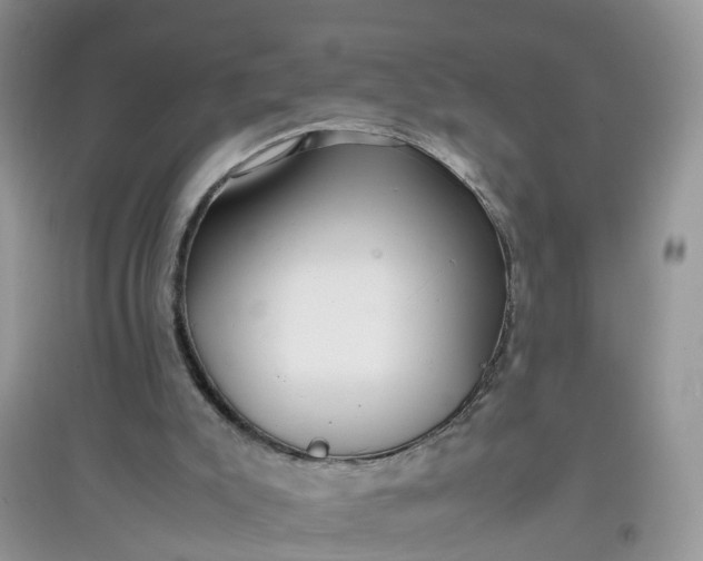 X0000097640007200803142057