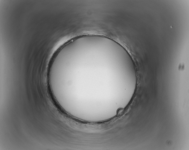 X0000097640008200803142057