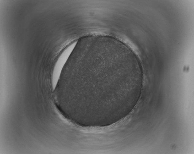 X0000097640009200803142057