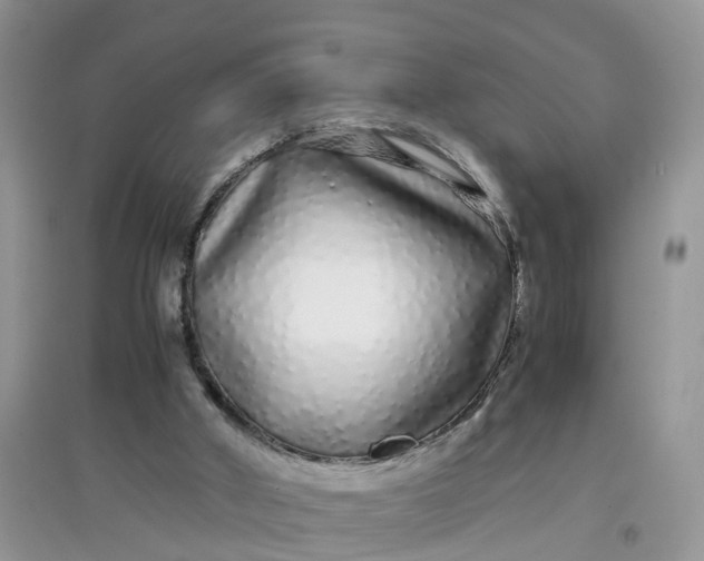 X0000097640010200803142057