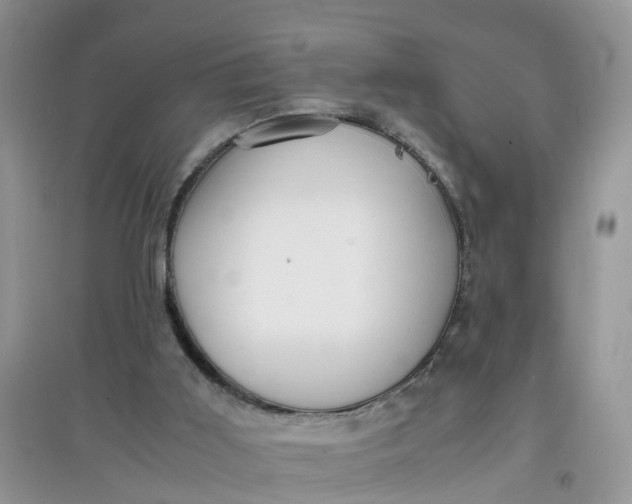 X0000097640011200803142057