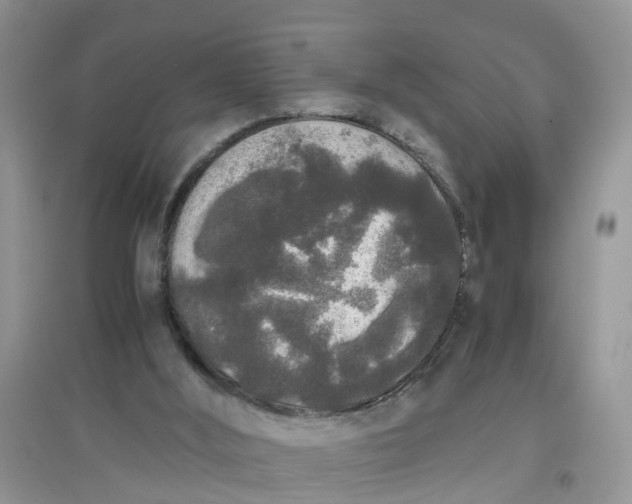 X0000097640012200803142057