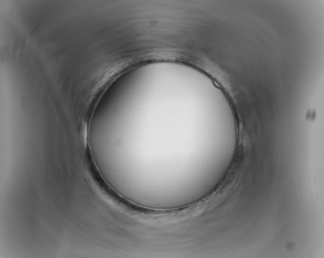 X0000097640013200803142057