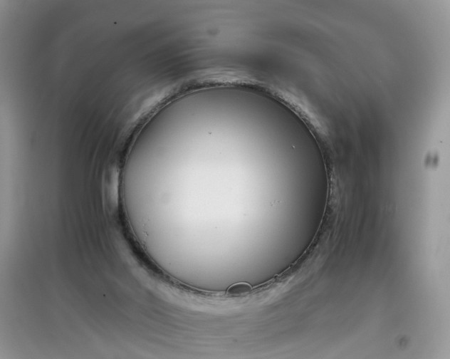 X0000097640014200803142057