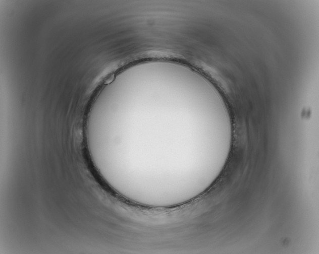 X0000097640015200803142057