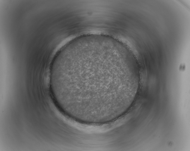 X0000097640016200803142057