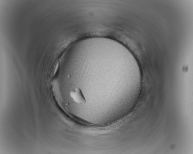 X0000097640017200803142057