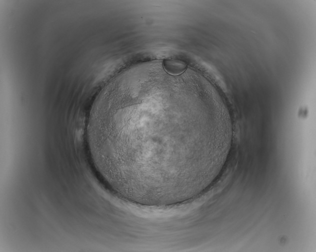 X0000097640018200803142057