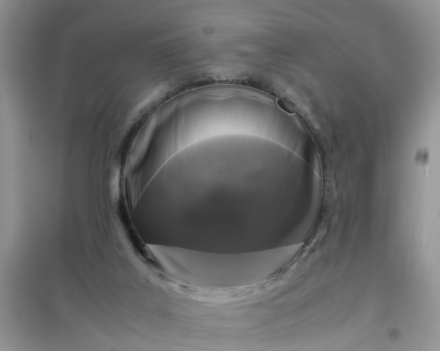 X0000097640019200803142057