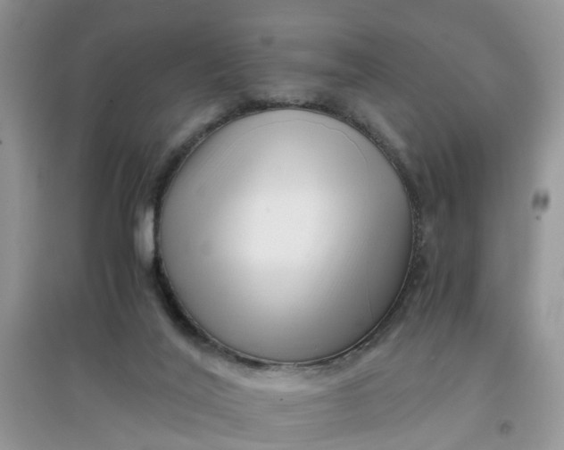 X0000097640020200803142057