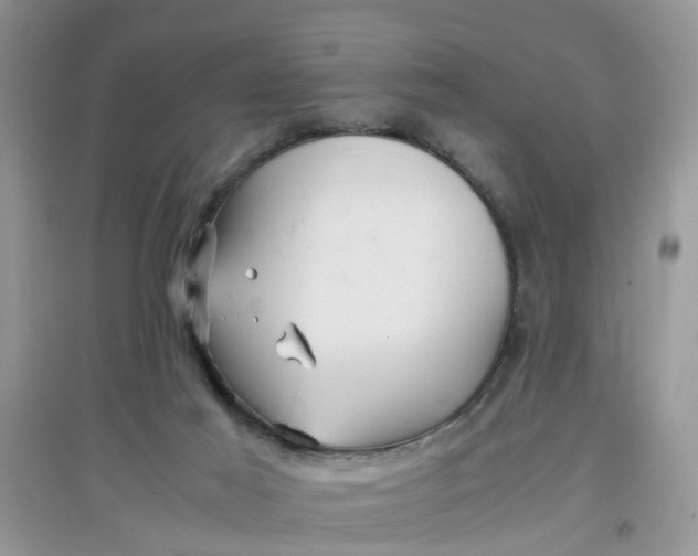 X0000097640021200803142057