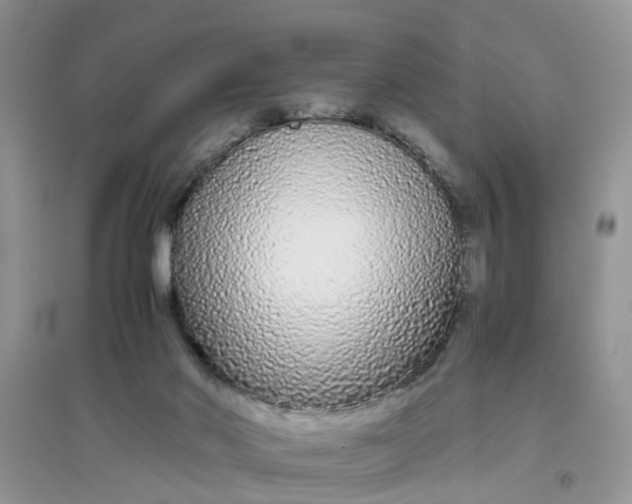 X0000097640022200803142057