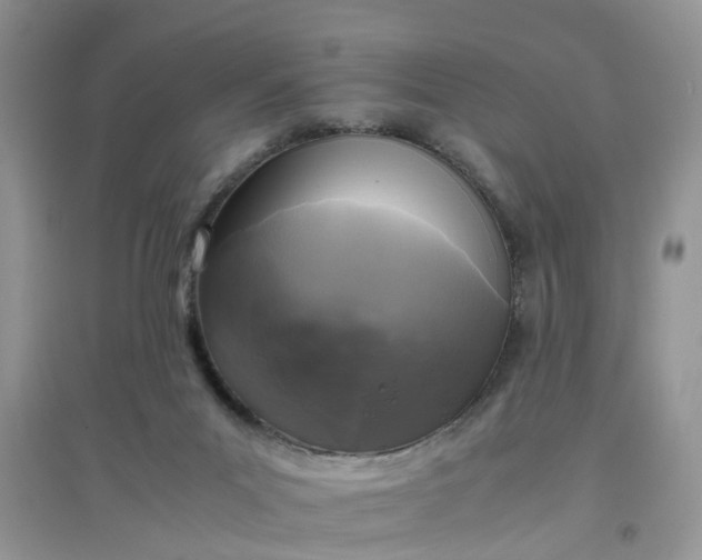 X0000097640023200803142057