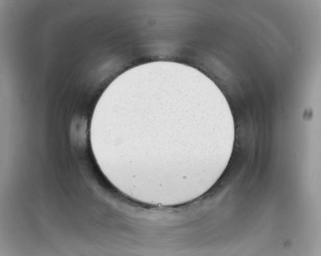 X0000097640024200803142057