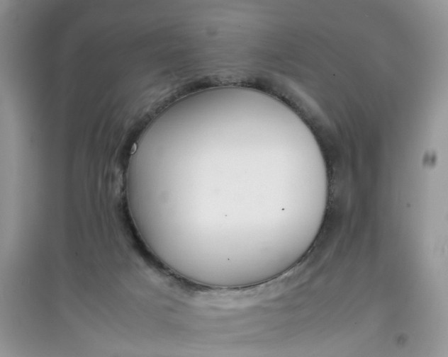 X0000097640025200803142057