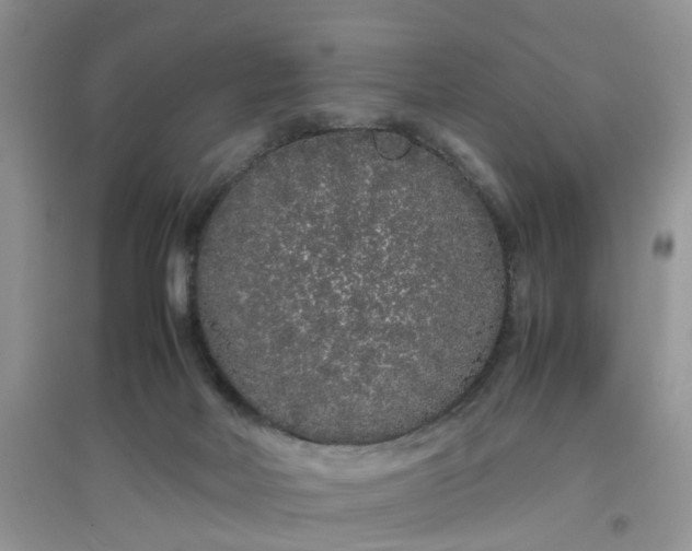 X0000097640026200803142057