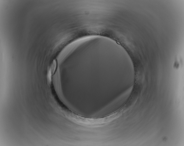 X0000097640027200803142057