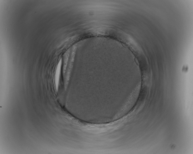 X0000097640029200803142057