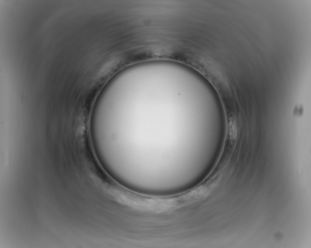 X0000097640032200803142057