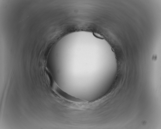 X0000097640033200803142057