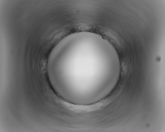 X0000097640034200803142057