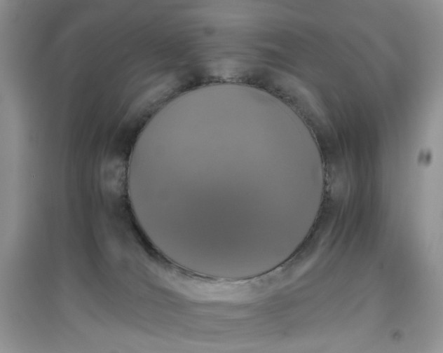 X0000097640036200803142057