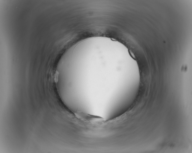 X0000097640037200803142057